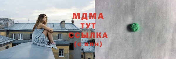 прущие грибы Рославль