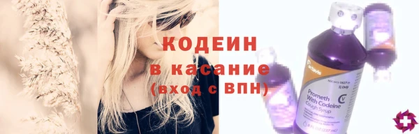 ПСИЛОЦИБИНОВЫЕ ГРИБЫ Верхний Тагил