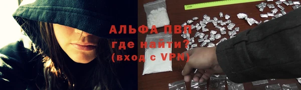 ПСИЛОЦИБИНОВЫЕ ГРИБЫ Верхний Тагил