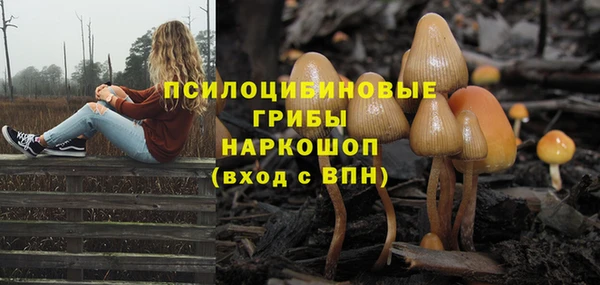 ПСИЛОЦИБИНОВЫЕ ГРИБЫ Верхний Тагил