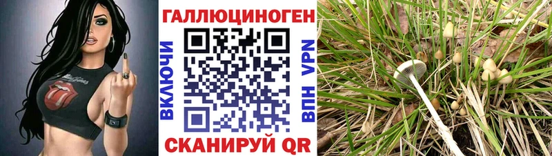 Псилоцибиновые грибы Magic Shrooms купить сайты нарко площадка формула Карачев